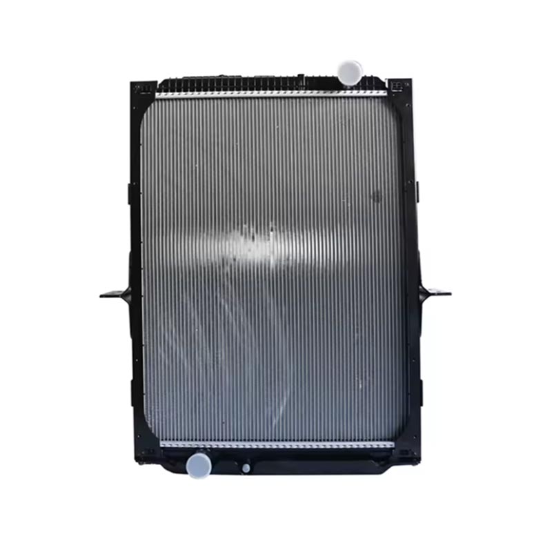 Radiador d'accessoris del motor DZ91125328